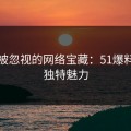 揭秘被忽视的网络宝藏：51爆料网的独特魅力