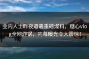 业内人士昨夜遭遇重磅爆料，糖心vlog全网炸锅，内幕曝光令人震惊！