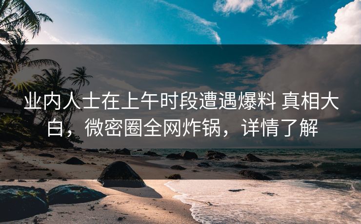 业内人士在上午时段遭遇爆料 真相大白，微密圈全网炸锅，详情了解