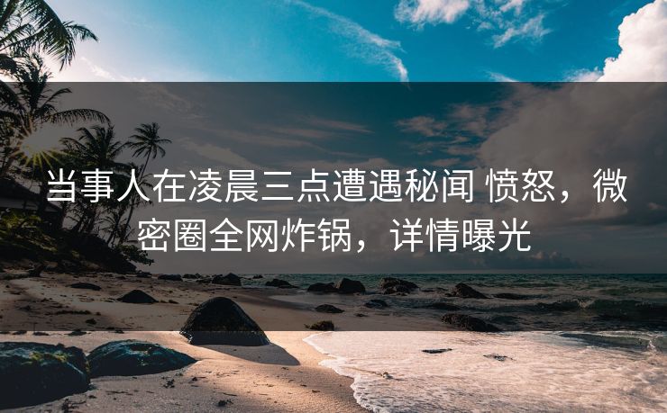 当事人在凌晨三点遭遇秘闻 愤怒，微密圈全网炸锅，详情曝光