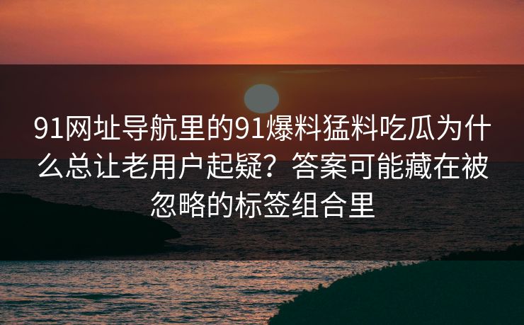 91网址导航里的91爆料猛料吃瓜为什么总让老用户起疑？答案可能藏在被忽略的标签组合里